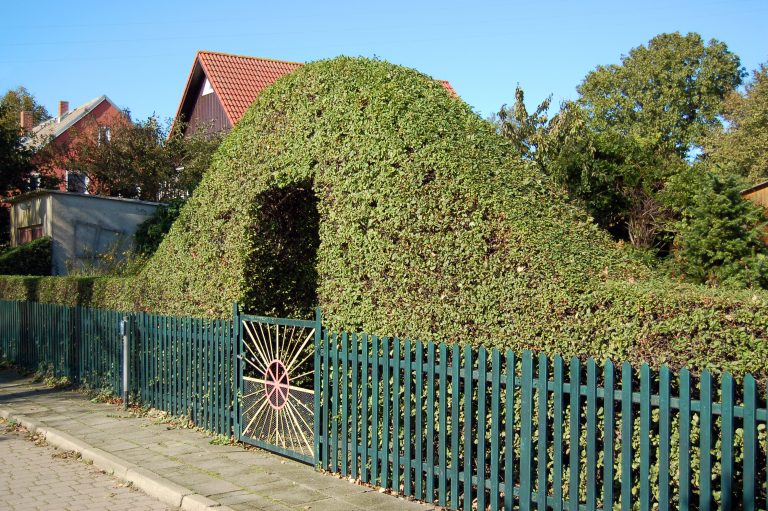 Hecke als Gartenzaun